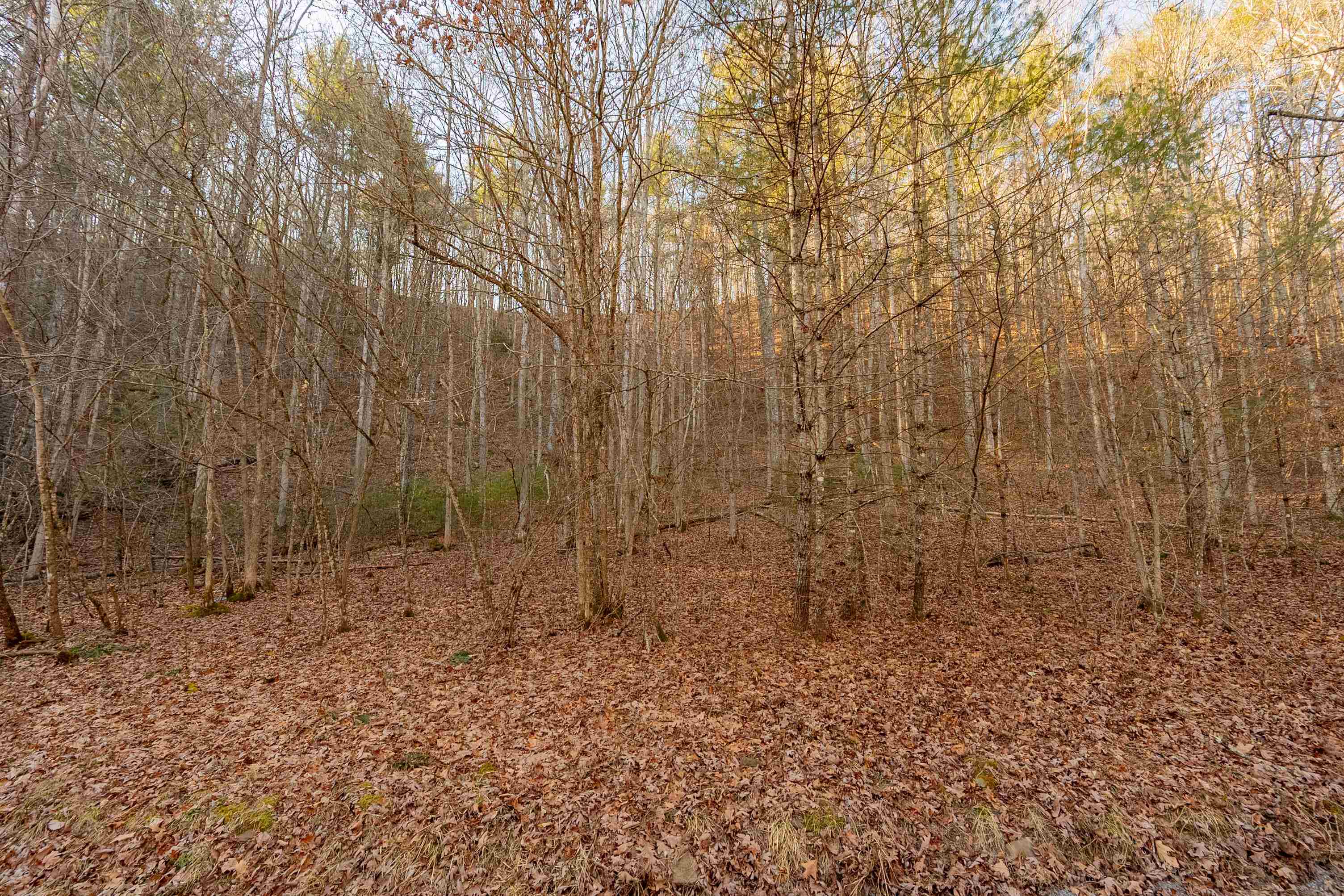 0 Kimberling Road Bland, VA 24315 - Photo 14 of 72 Gallery Image 14