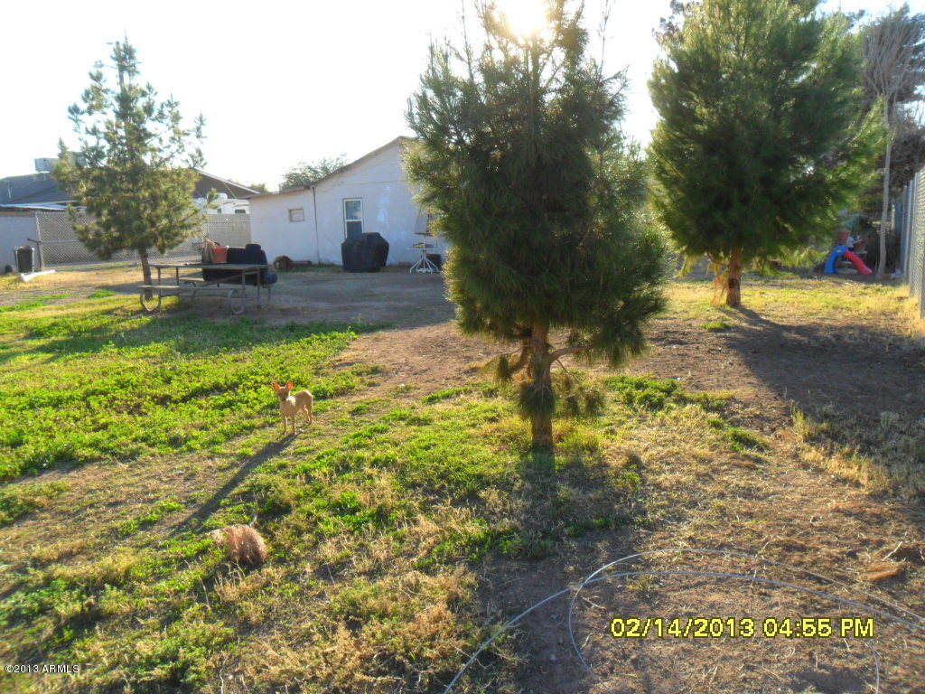 449 West Roeser Road Phoenix, AZ 85041 - Photo 25 of 31 SAM_6333