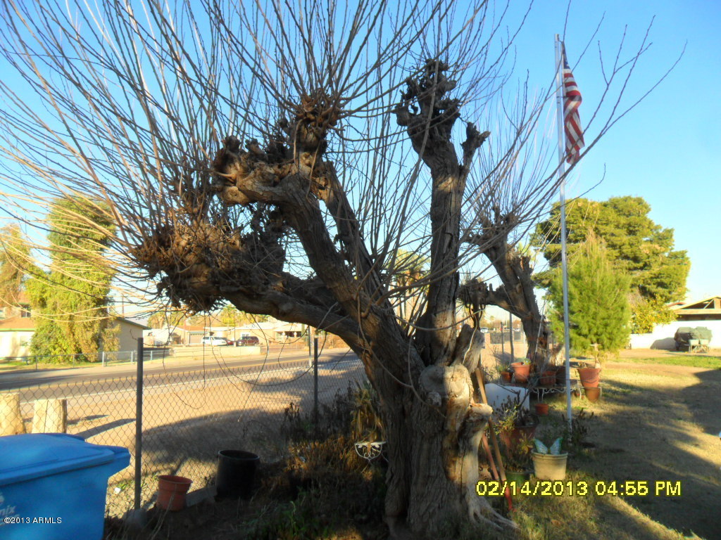 449 West Roeser Road Phoenix, AZ 85041 - Photo 28 of 31 SAM_6336