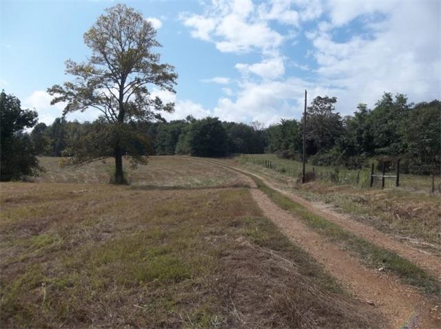 2456 Franklin Hayes Road Pulaski, TN 38478 - Photo 19 of 20 Driveway to home