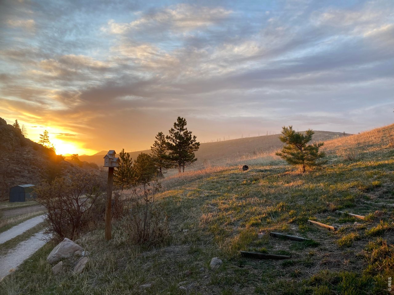1652 Eiger Road Livermore, CO 80536 - Photo 4 of 50 Wake up to a painting outside your windows!