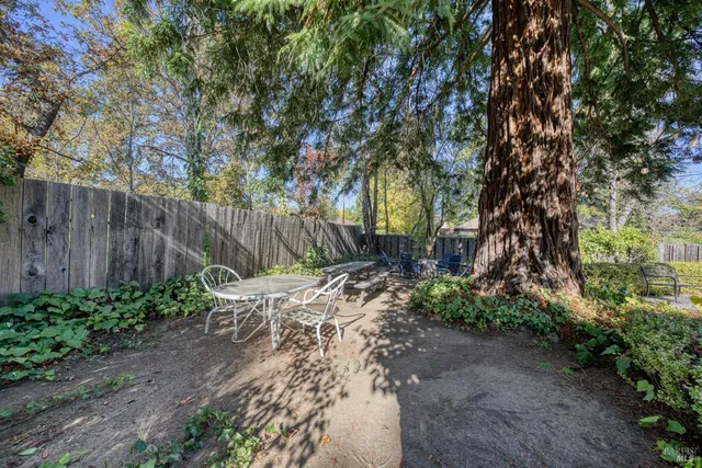a view of a house with a yard and large tree
