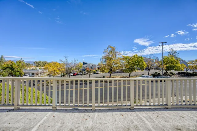 a view of a garden with plants