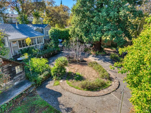 a view of a yard with plants