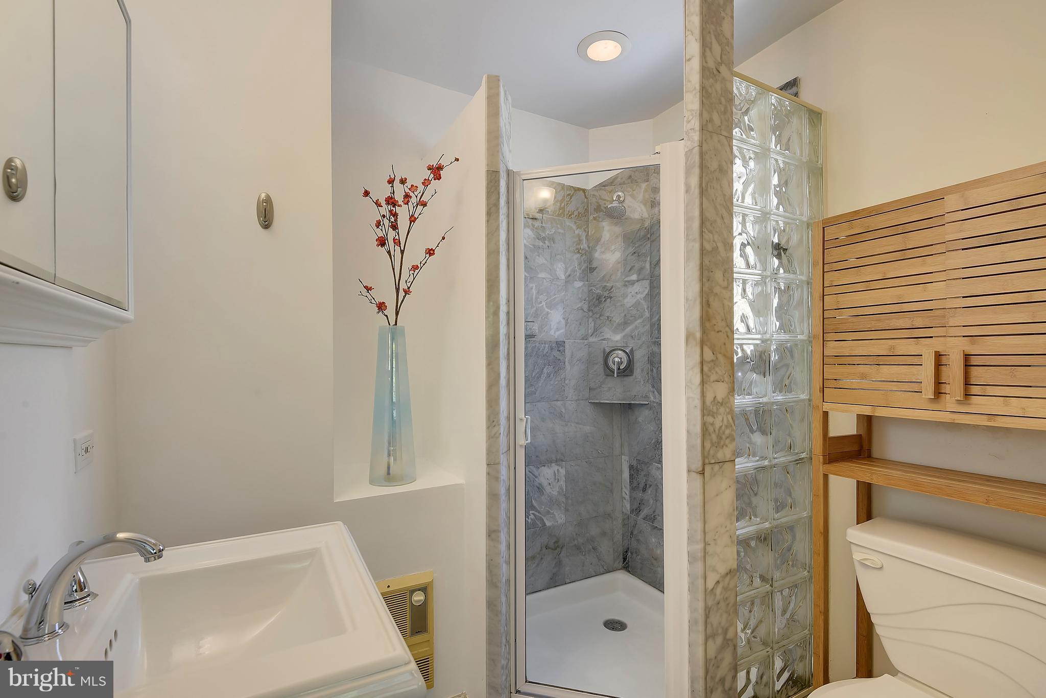 2817 Spencer Road Chevy Chase, MD 20815 - Photo 11 of 30 Bath (Master)