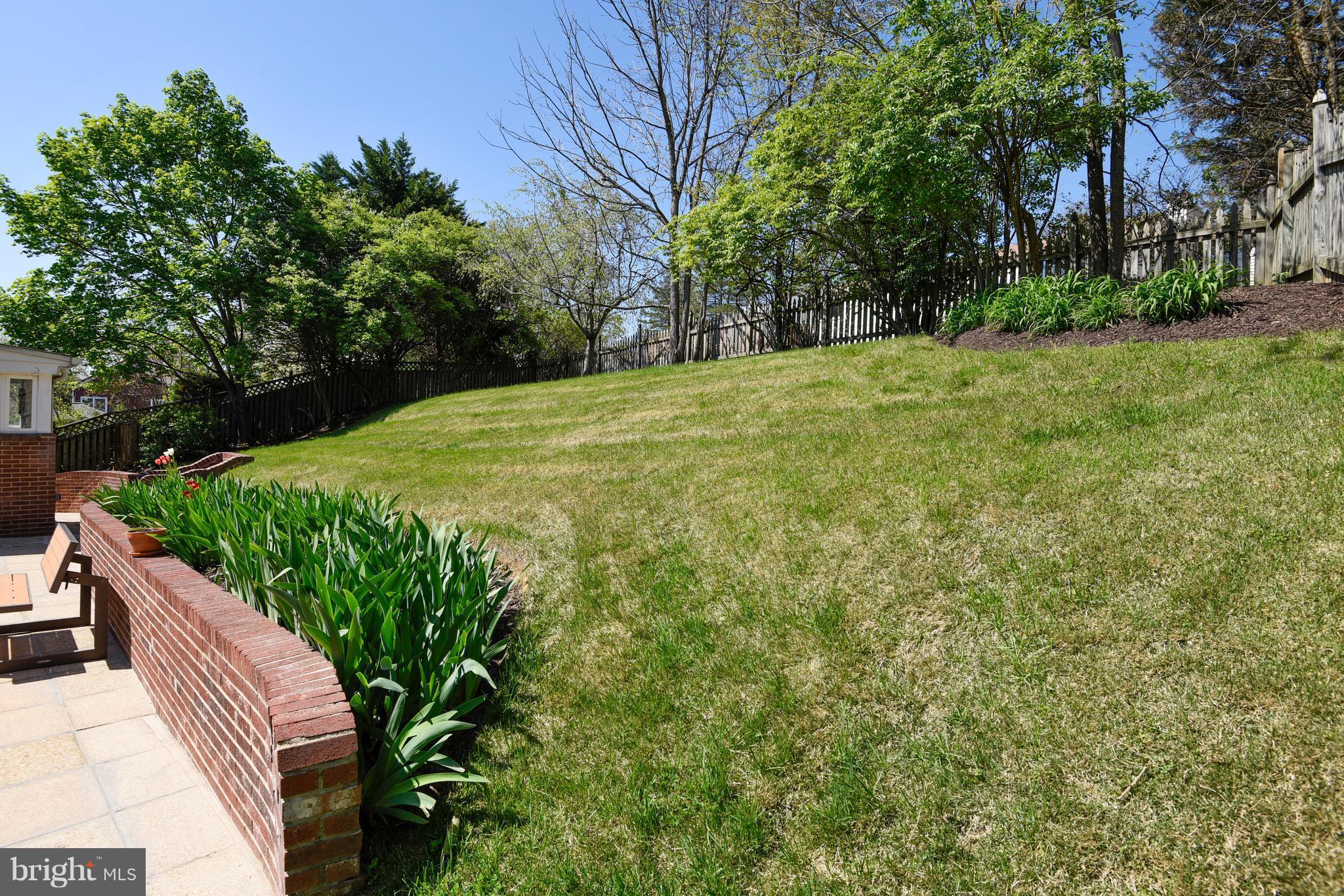 2817 Spencer Road Chevy Chase, MD 20815 - Photo 27 of 30 Backyard