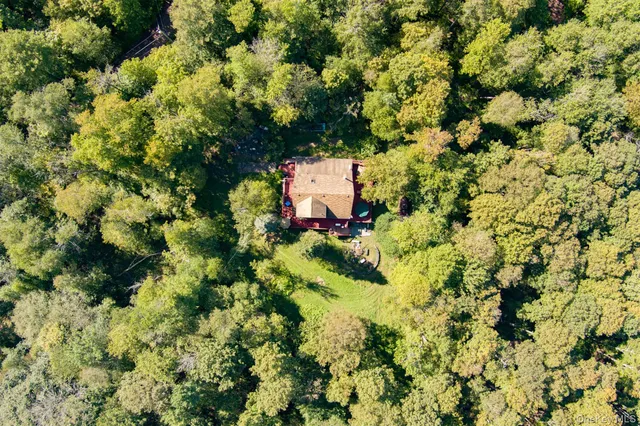 a backyard of a house with a yard and large trees