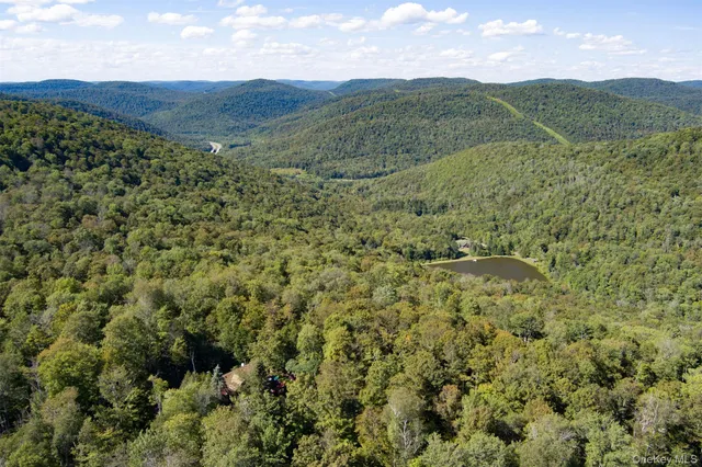 a view of a green field with lots of bushes
