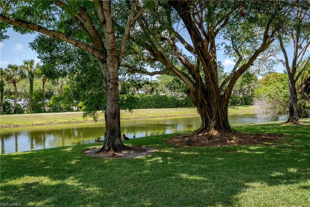 5419 Rattlesnake Hammock Road, Unit 307F Naples, FL 34113 - Photo 22 of 22