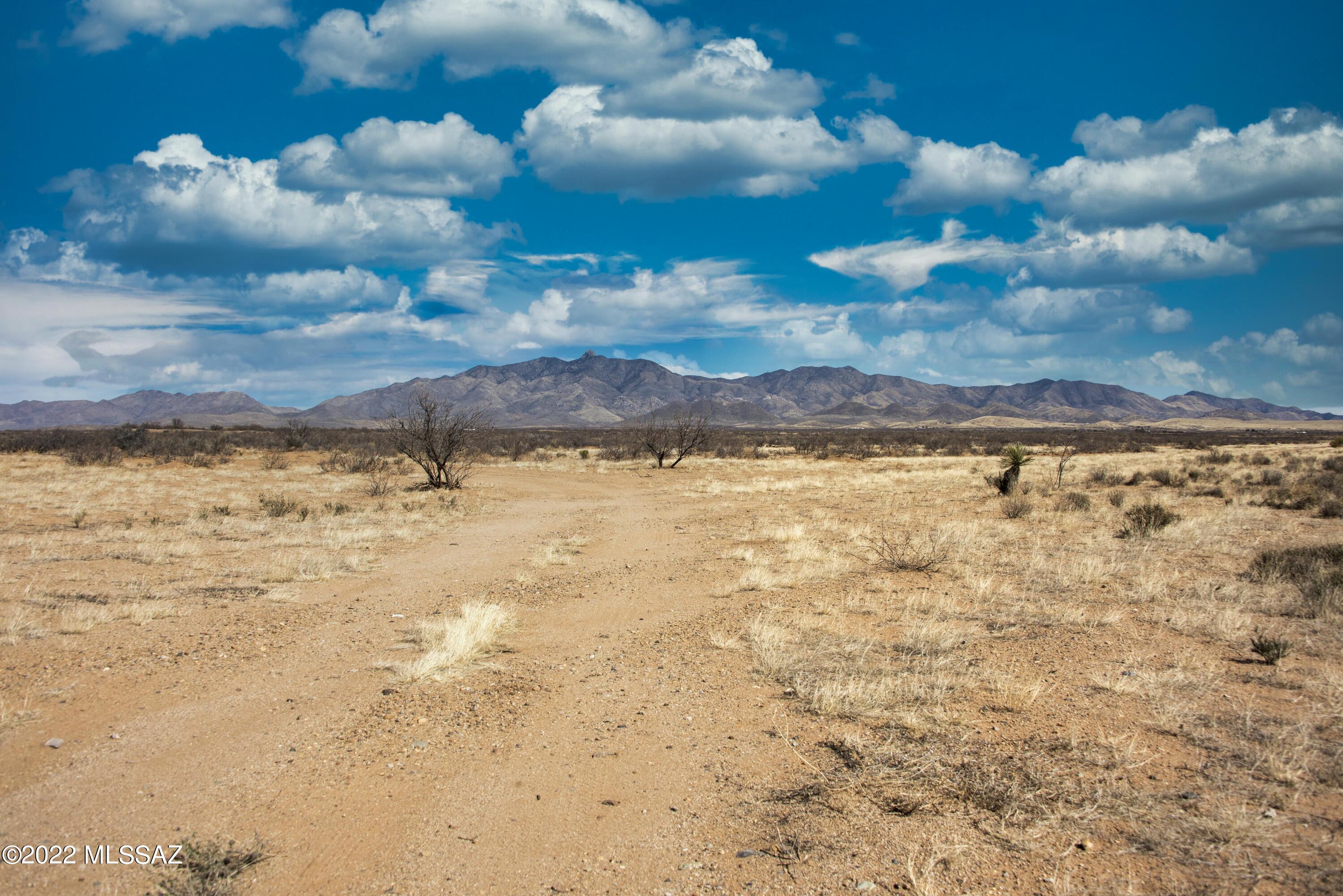 Tbd East Arzberger Road Willcox, AZ 85643 - Photo 11 of 17