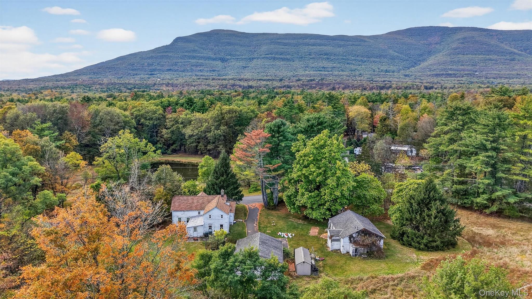 300 Band Camp Road Saugerties, NY 12477 - Photo 1 of 48 a view of a backyard with plants and a mountain view