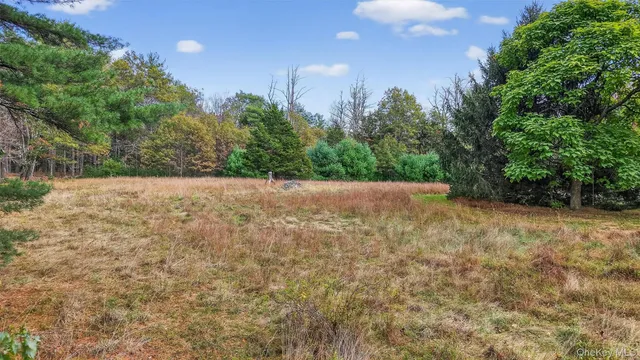 a view of yard with trees