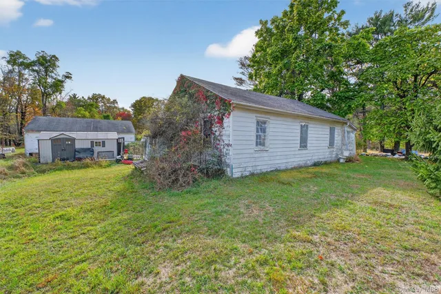 a backyard of a house with plants and large tree