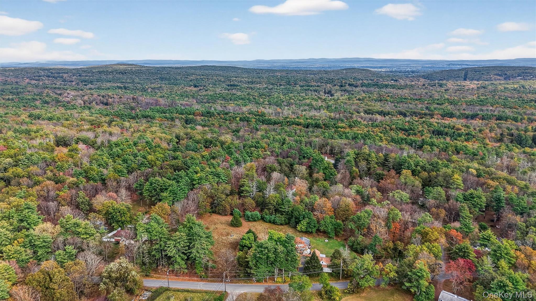 300 Band Camp Road Saugerties, NY 12477 - Photo 28 of 48 a view of a city with lush green forest