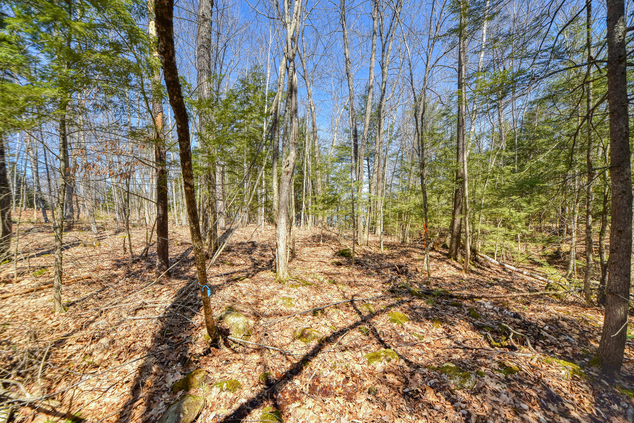 0 Route9-126 Road Litchfield, ME 04350 - Photo 31 of 105