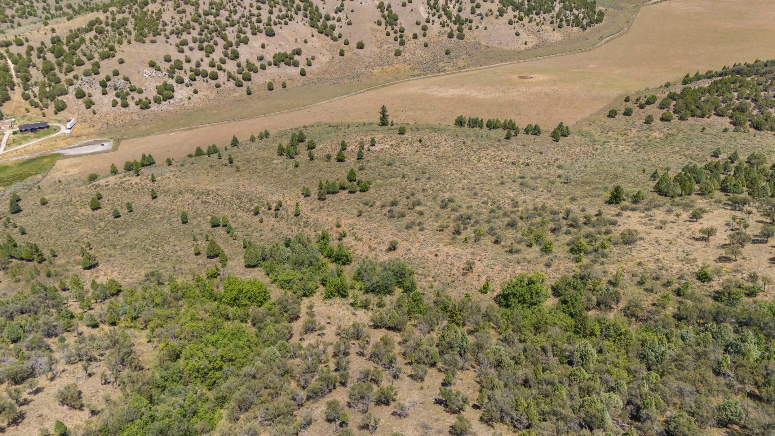 Tbd Swenson Road Bancroft, ID 83217 - Photo 10 of 18 Gallery Image 10