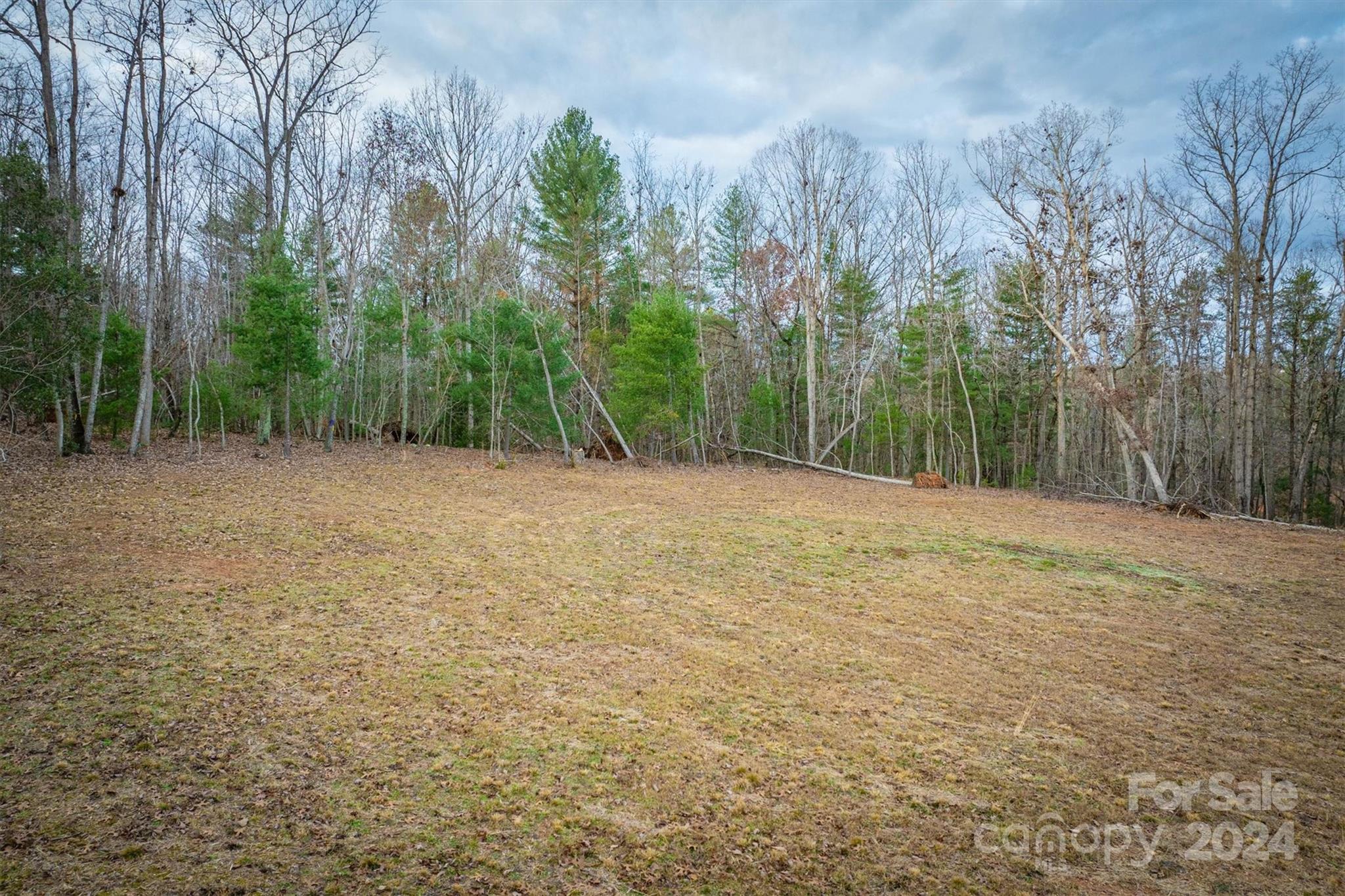 7838 Oren Stephens Road Hickory, NC 28602 - Photo 5 of 31 a backyard of a house with lots of green space