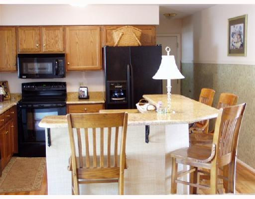 6486 Hay Rake Hollow Chelsea, MI 48118 - Photo 5 of 8 Photo 5