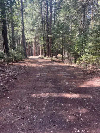 $350,000 | 17360 Wyatt Earp Road, Nevada City, CA 95959