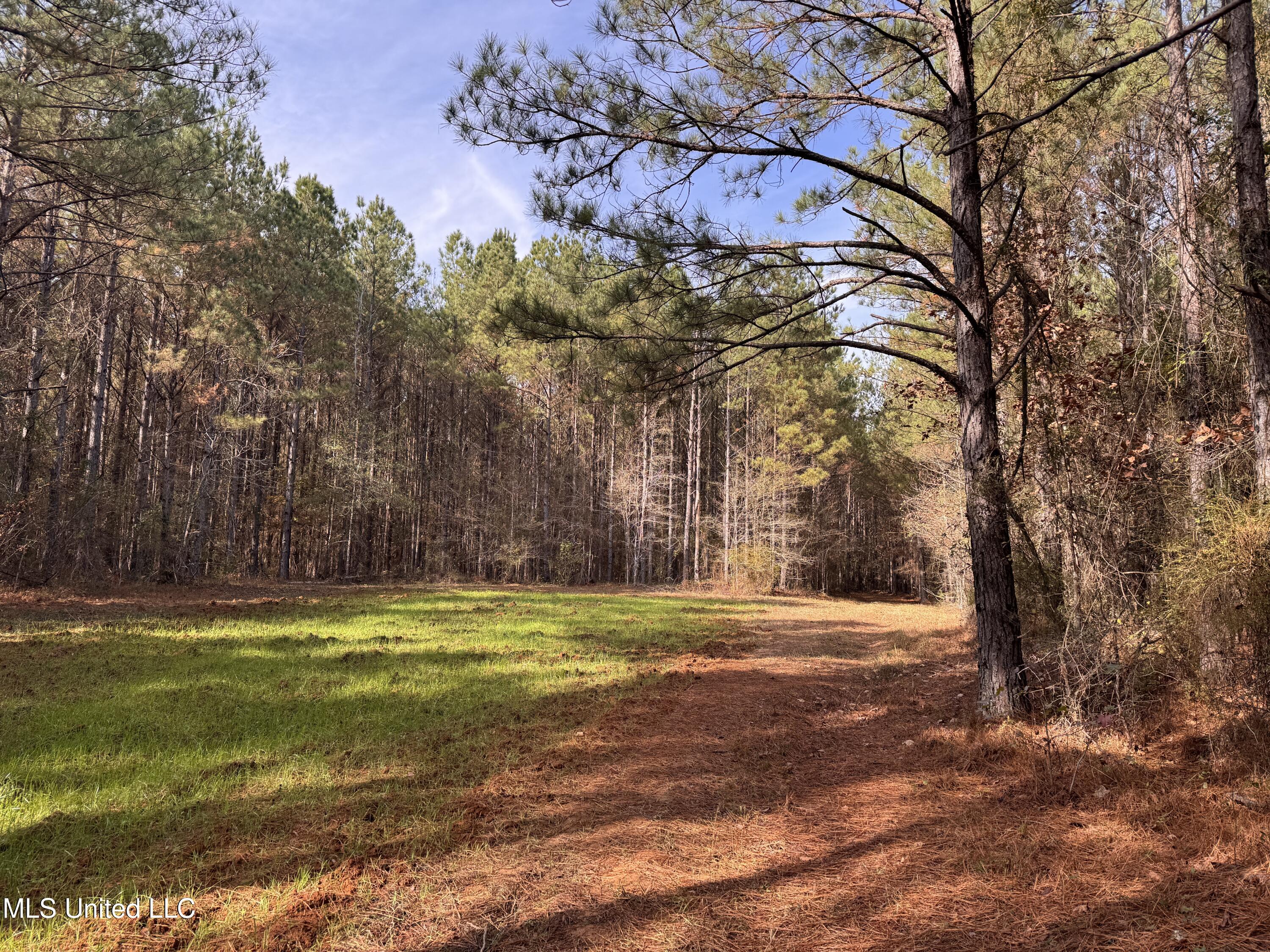 4 Whiddon Road Canton, MS 39046 - Photo 26 of 45 IMG_1635