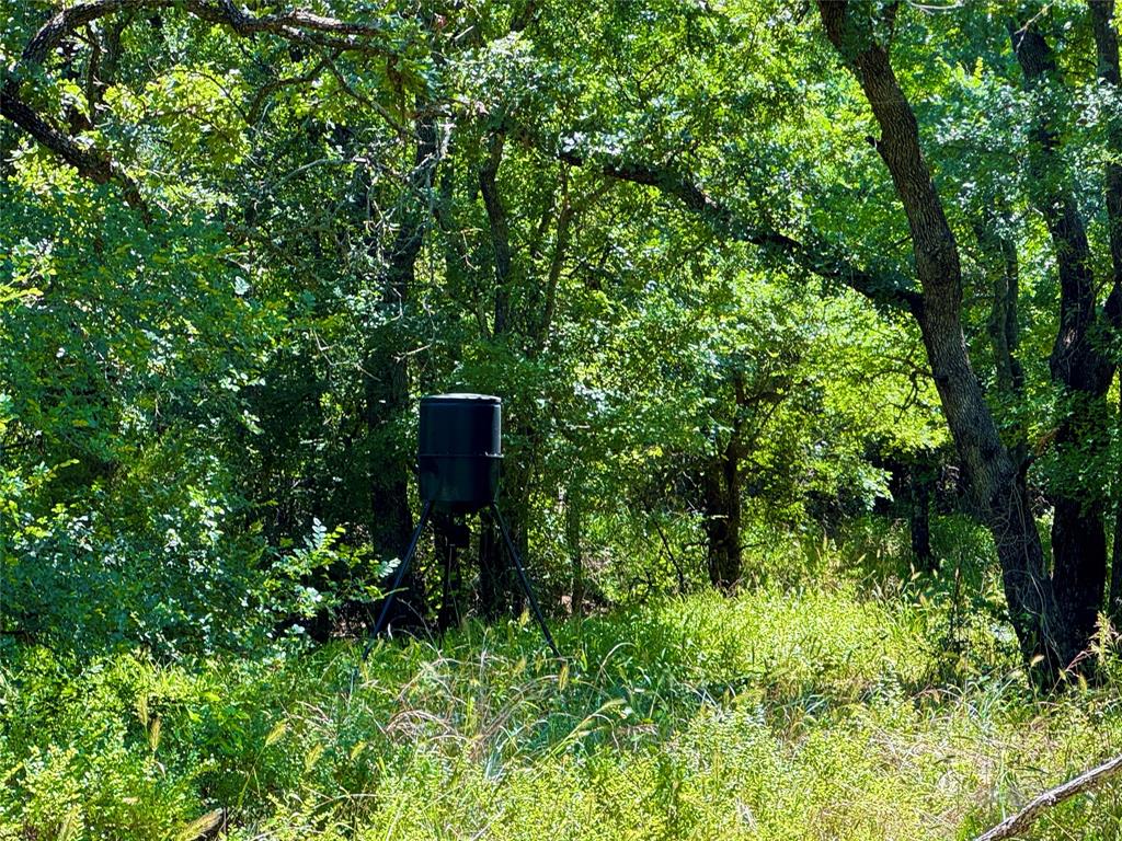 350 Indian Camp Road Weatherford, TX 76088 - Photo 9 of 18 a backyard of a house with lots of green space and a fountain