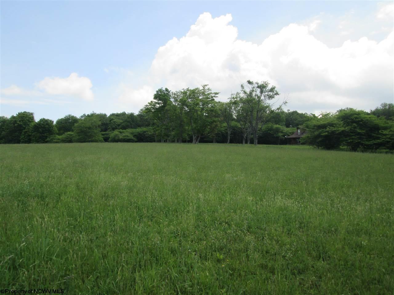 29 Pointy Knob Road Davis, WV 26260 - Photo 4 of 17 Gallery Image 4