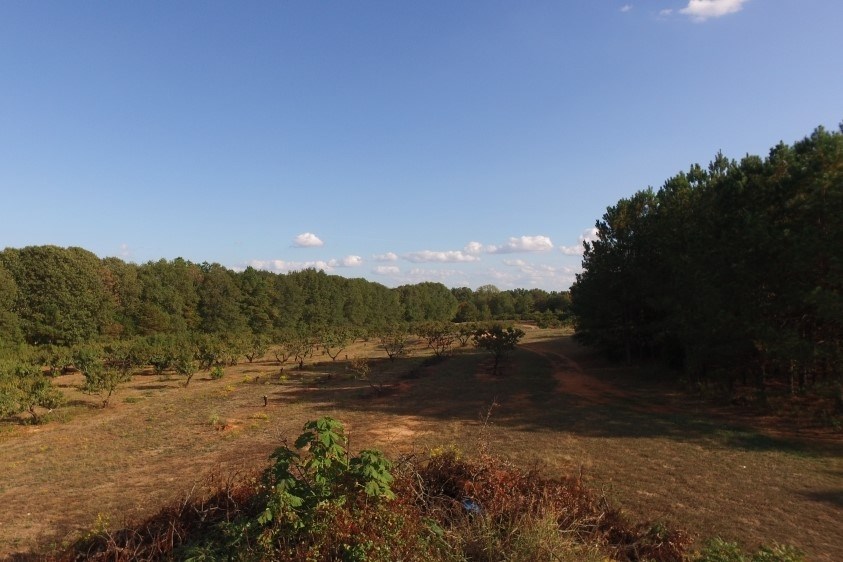 2705 Centerville Road Anderson, SC 29625 - Photo 8 of 9