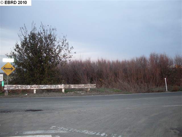 10479 Barber Road Walnut Grove, CA 95690 - Photo 1 of 1 a view of road with trees