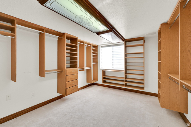 1085 Windsor Drive Provo, UT 84604 - Photo 34 of 83 Walk in closet featuring light carpet