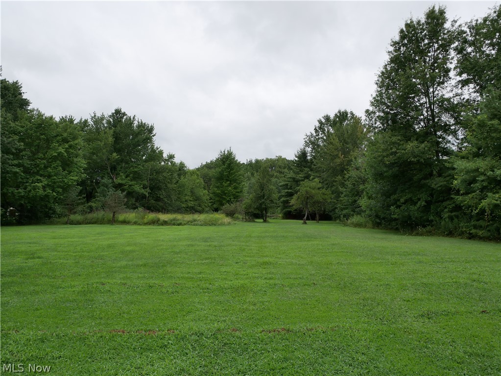 13338 North Boone Road Columbia Station, OH 44028 - Photo 16 of 33
