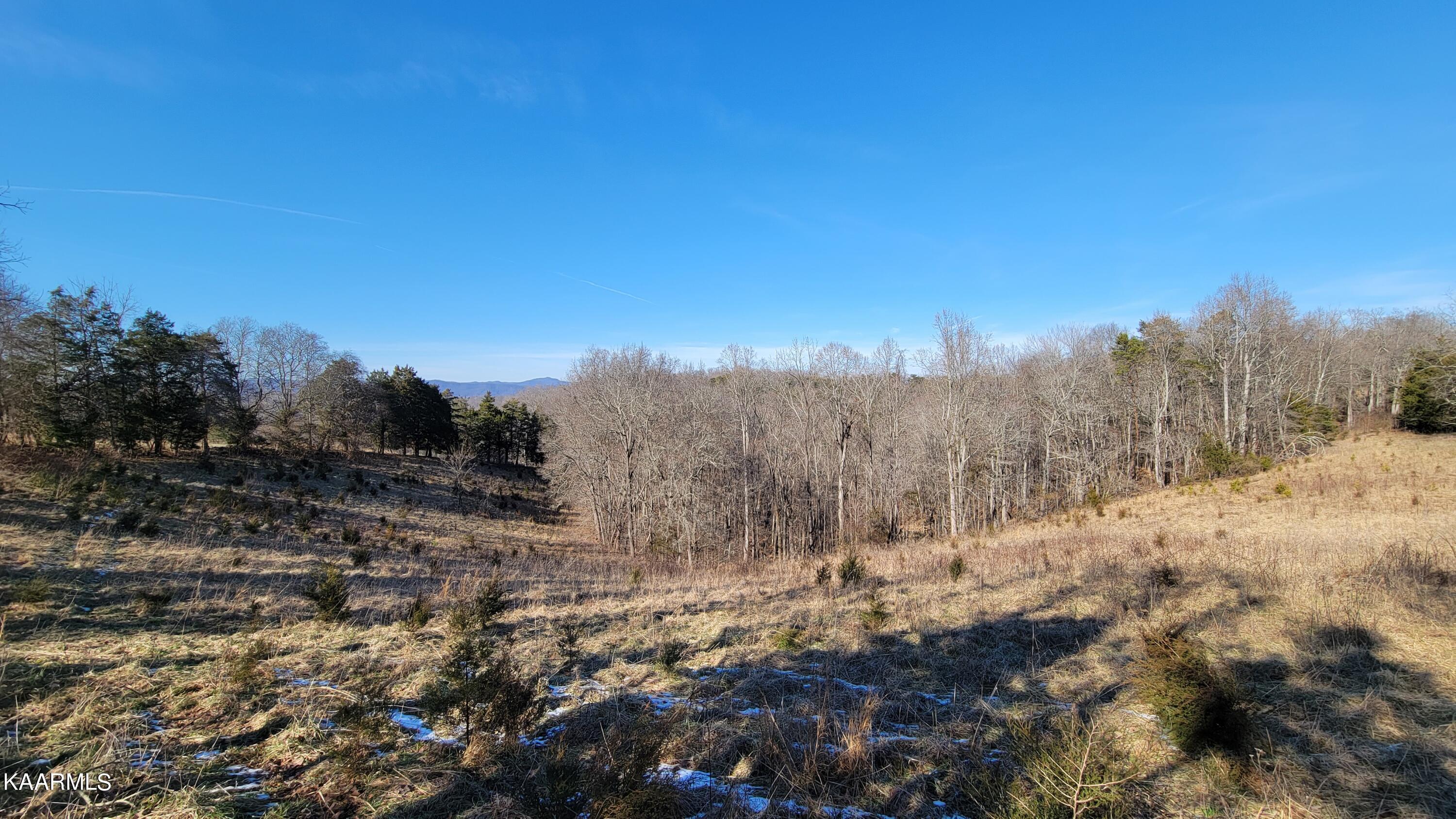Chestnut Stump Road La Follette, TN 37766 - Photo 1 of 40 1
