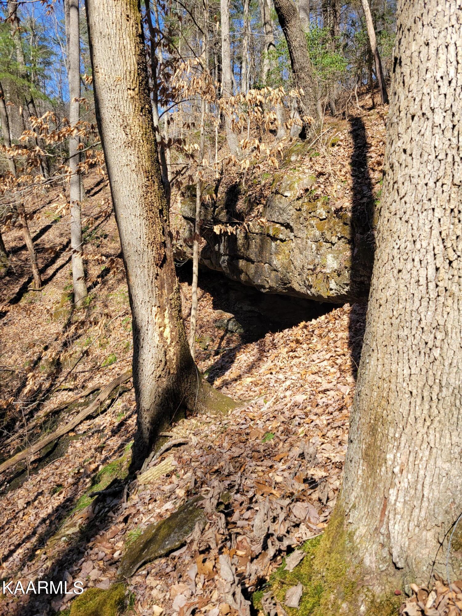 Chestnut Stump Road La Follette, TN 37766 - Photo 12 of 40 11A