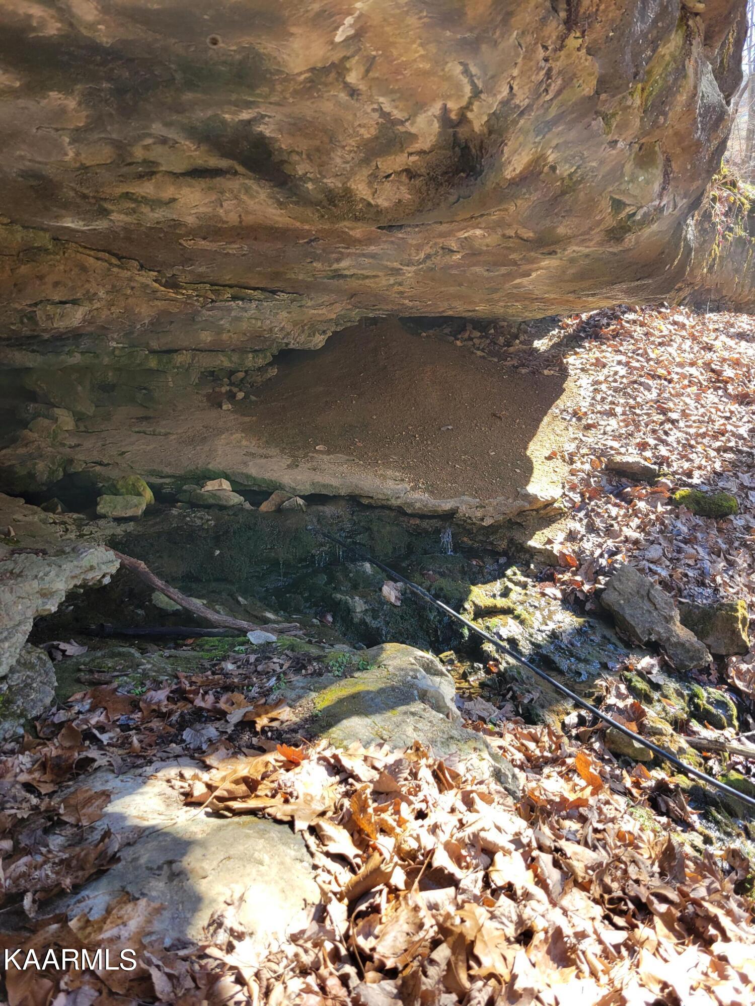 Chestnut Stump Road La Follette, TN 37766 - Photo 13 of 40 11B