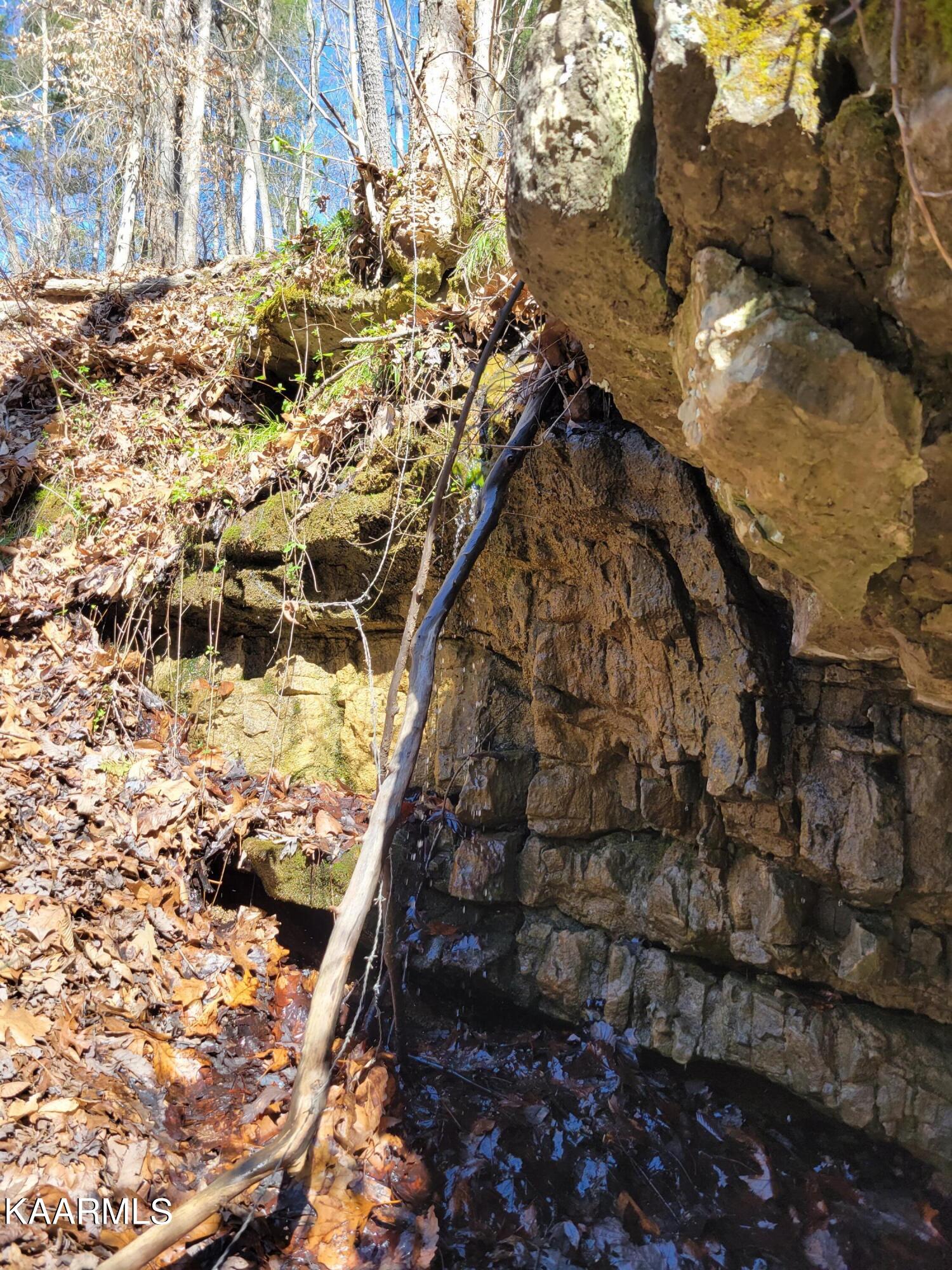 Chestnut Stump Road La Follette, TN 37766 - Photo 15 of 40 11D