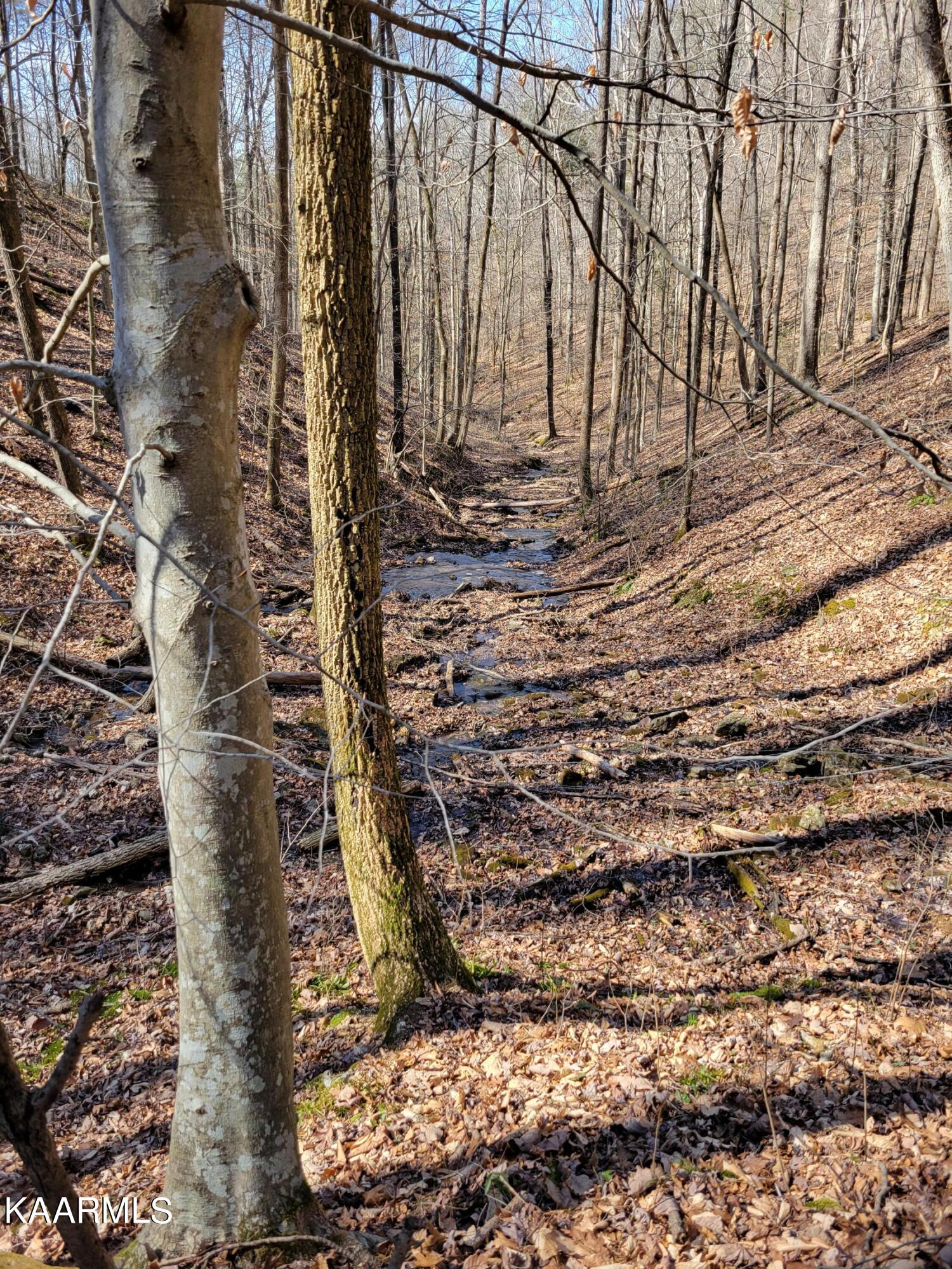Chestnut Stump Road La Follette, TN 37766 - Photo 17 of 40 11F