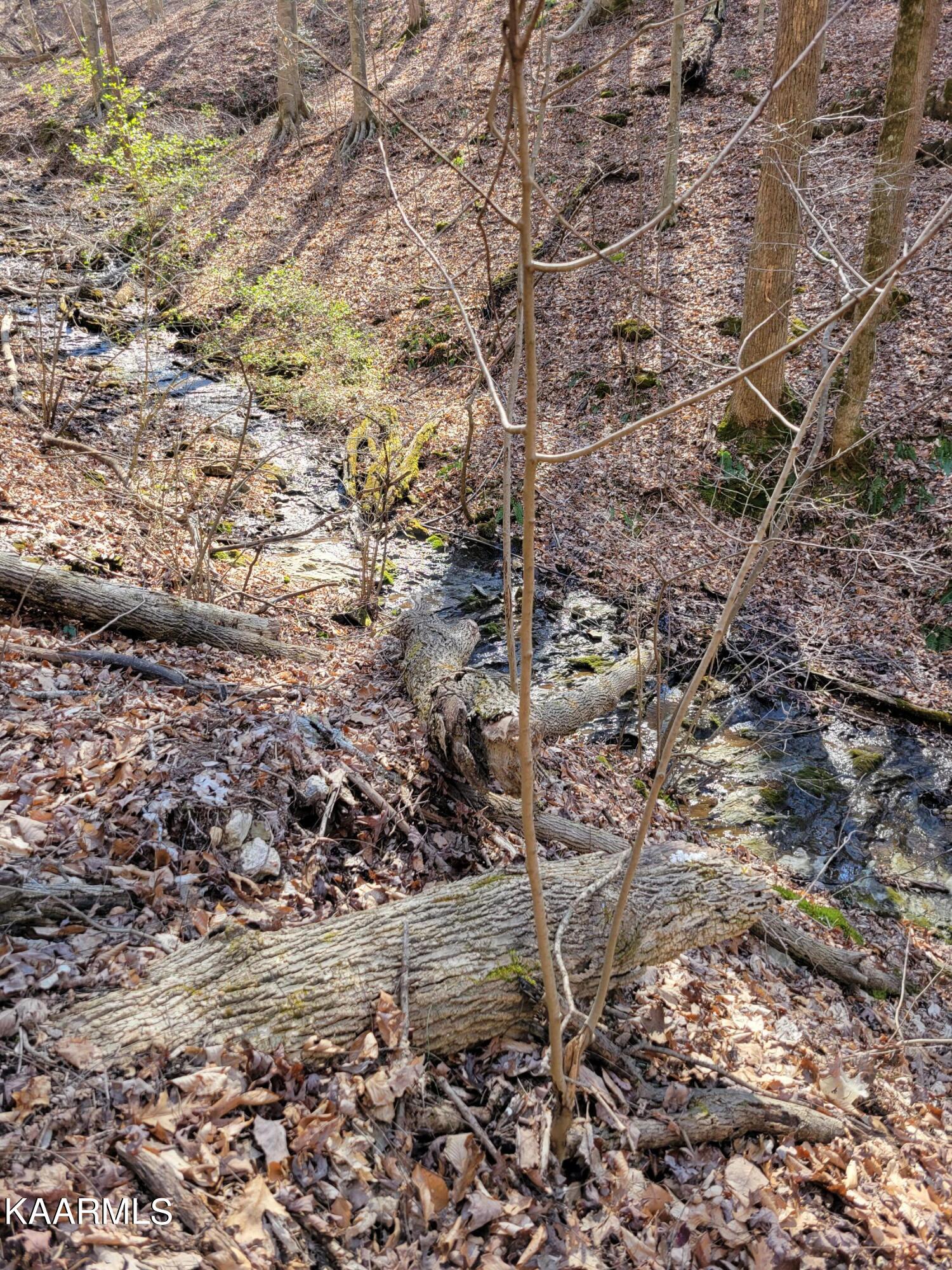 Chestnut Stump Road La Follette, TN 37766 - Photo 18 of 40 11G