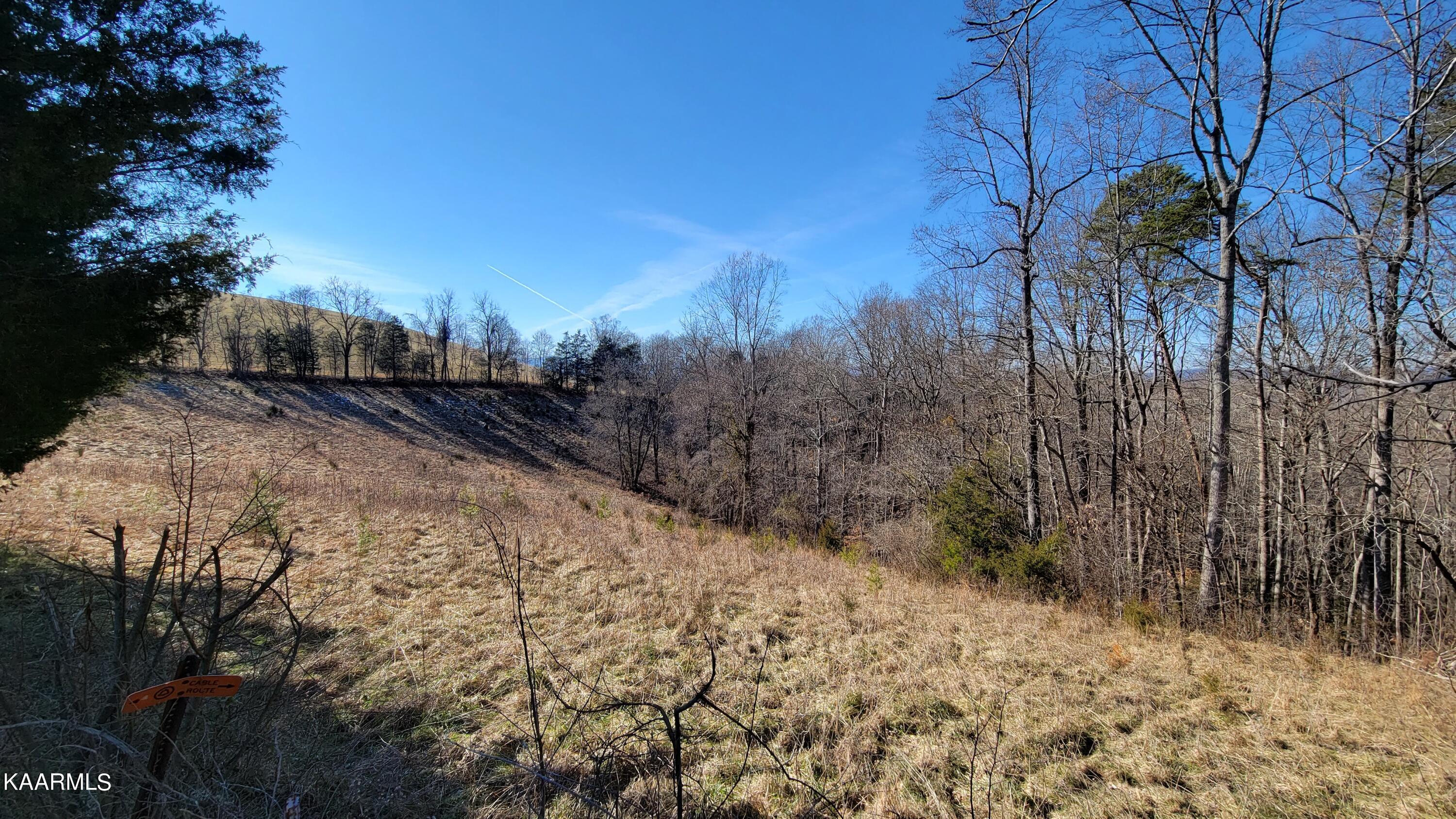Chestnut Stump Road La Follette, TN 37766 - Photo 19 of 40 12