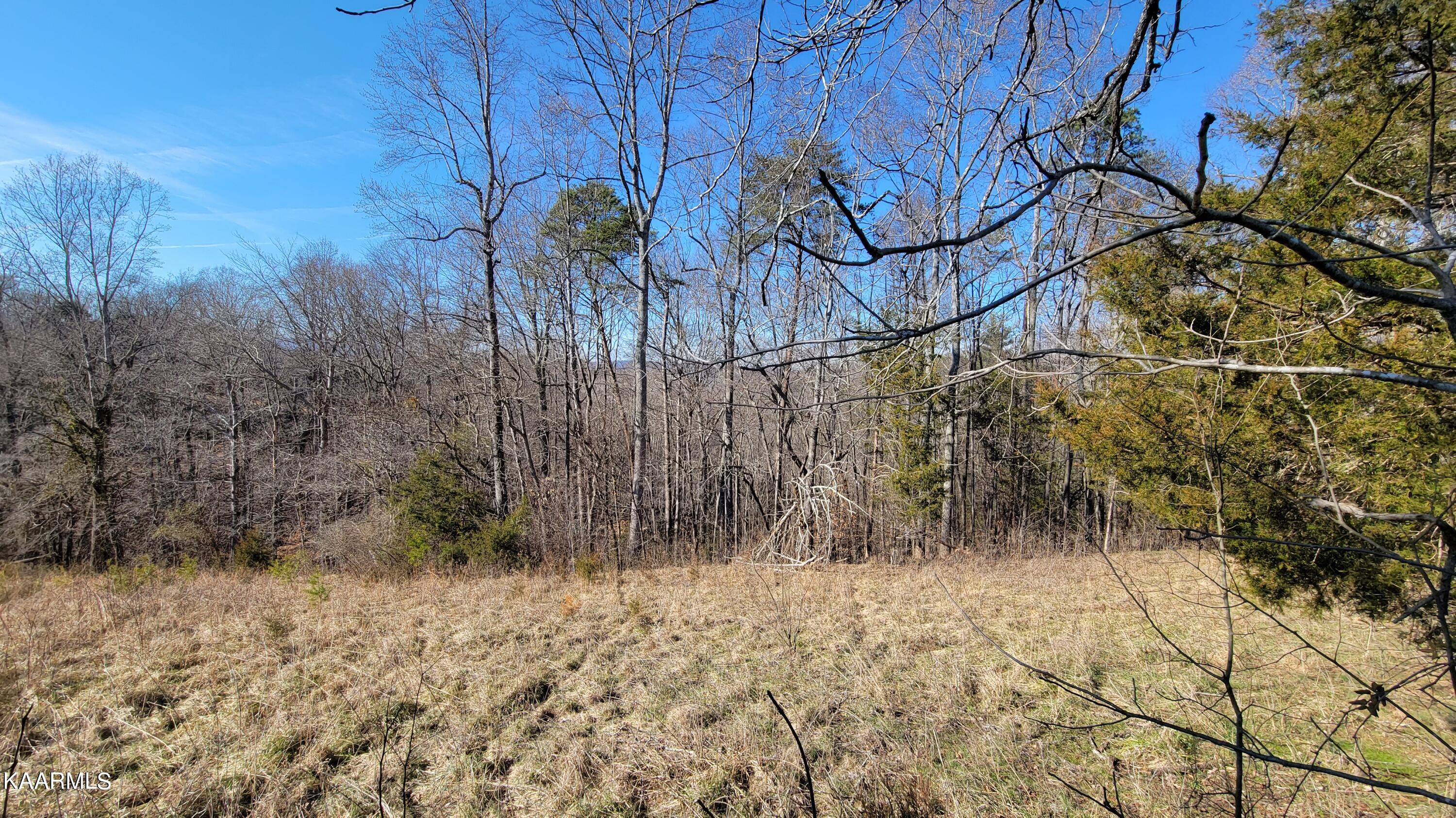 Chestnut Stump Road La Follette, TN 37766 - Photo 20 of 40 13