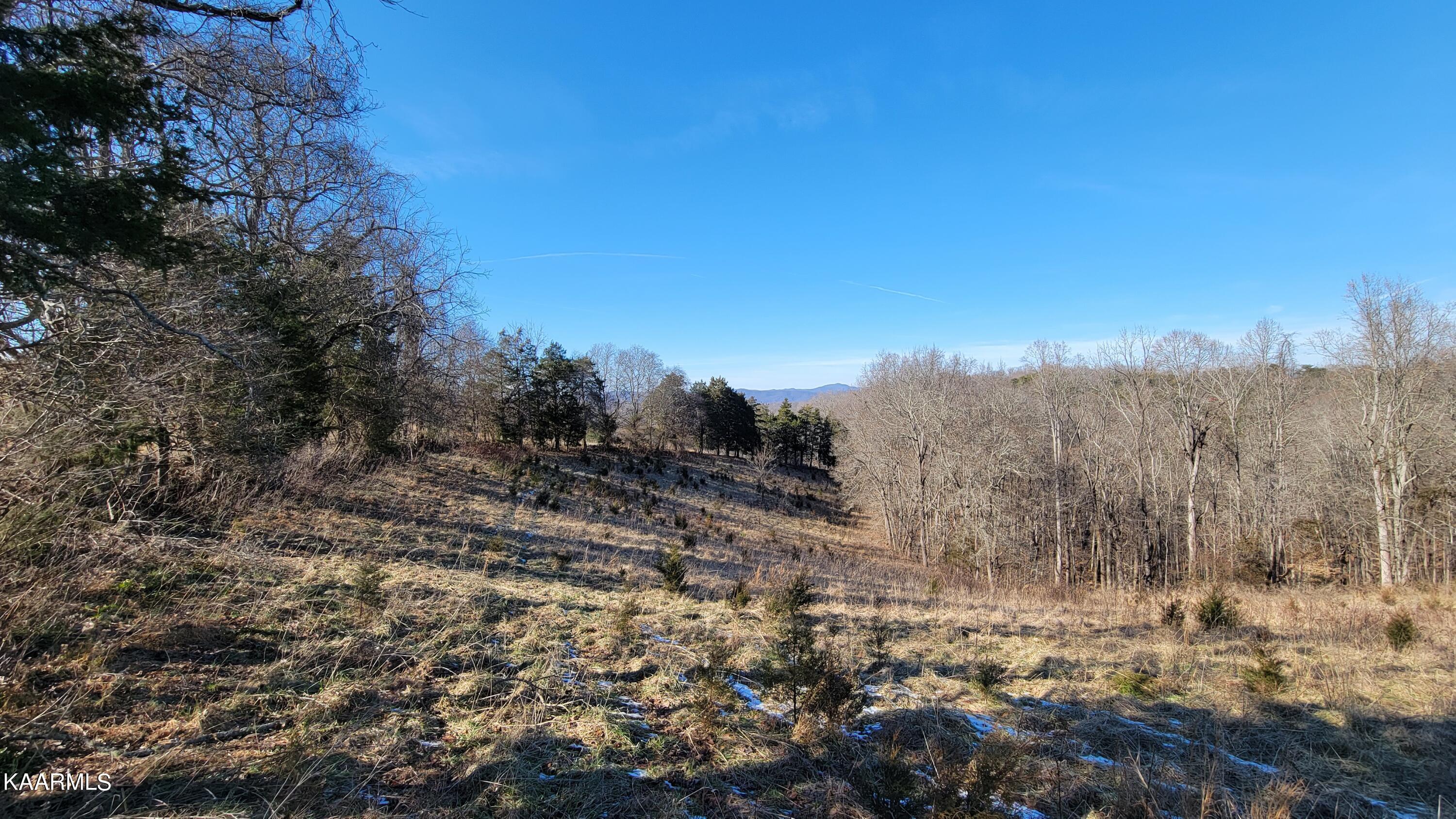 Chestnut Stump Road La Follette, TN 37766 - Photo 2 of 40 2