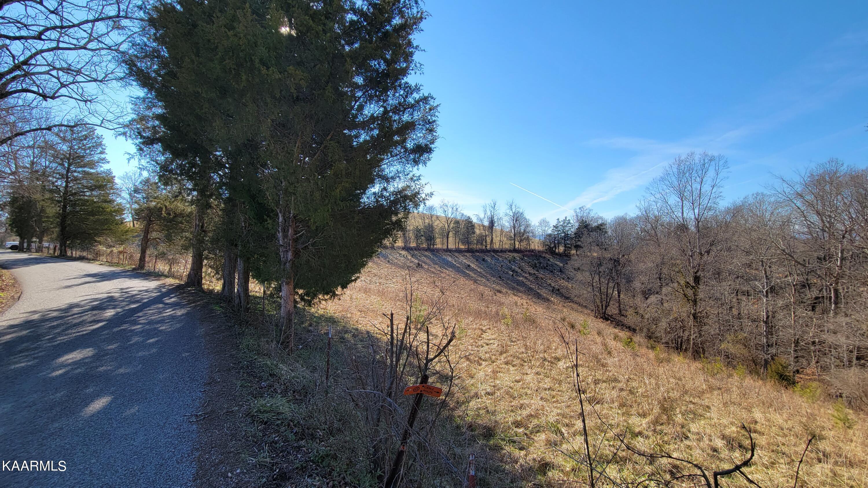 Chestnut Stump Road La Follette, TN 37766 - Photo 21 of 40 14