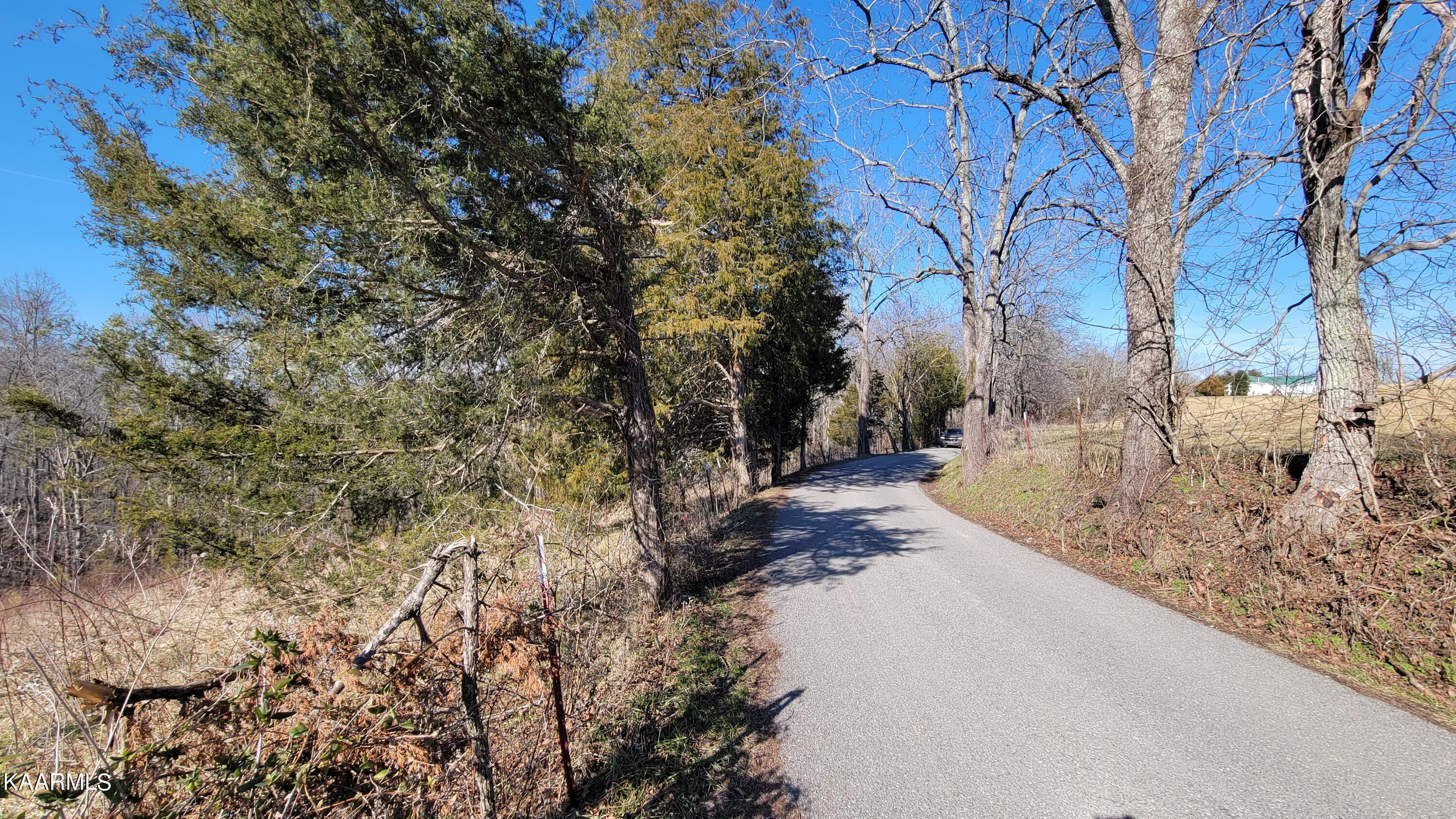 Chestnut Stump Road La Follette, TN 37766 - Photo 23 of 40 16