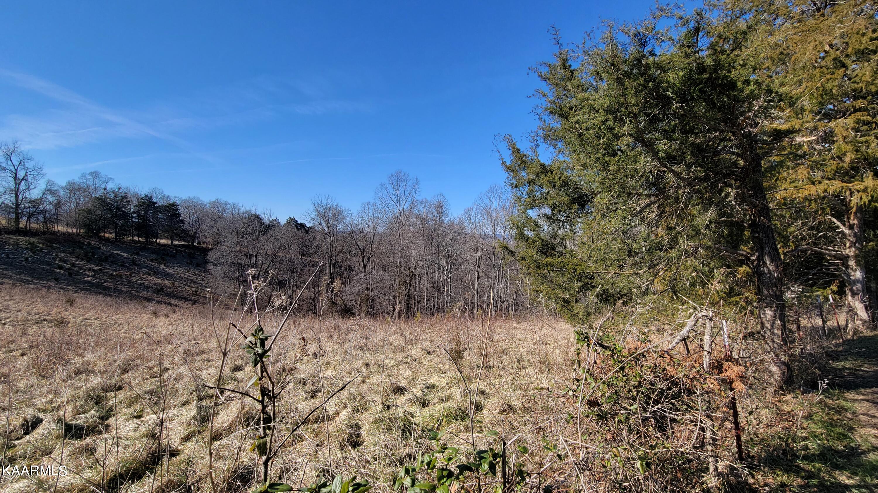 Chestnut Stump Road La Follette, TN 37766 - Photo 24 of 40 17
