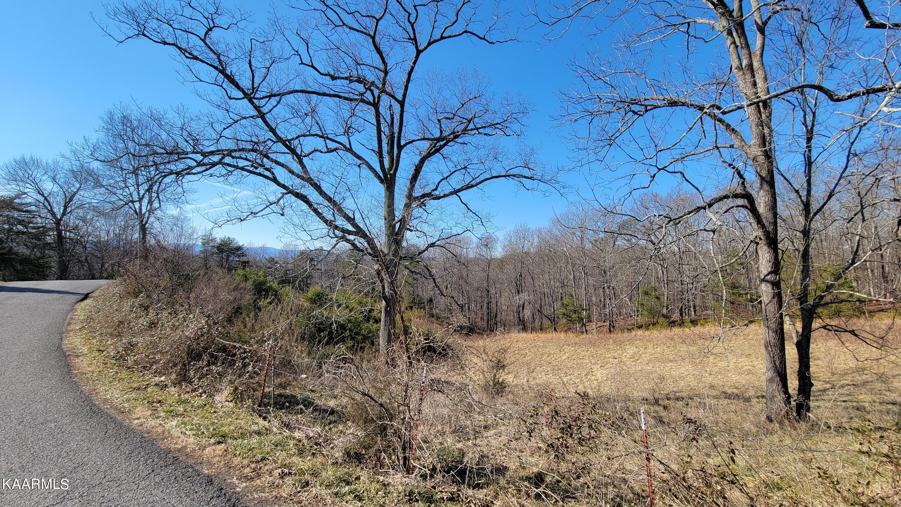 Chestnut Stump Road La Follette, TN 37766 - Photo 25 of 40 18