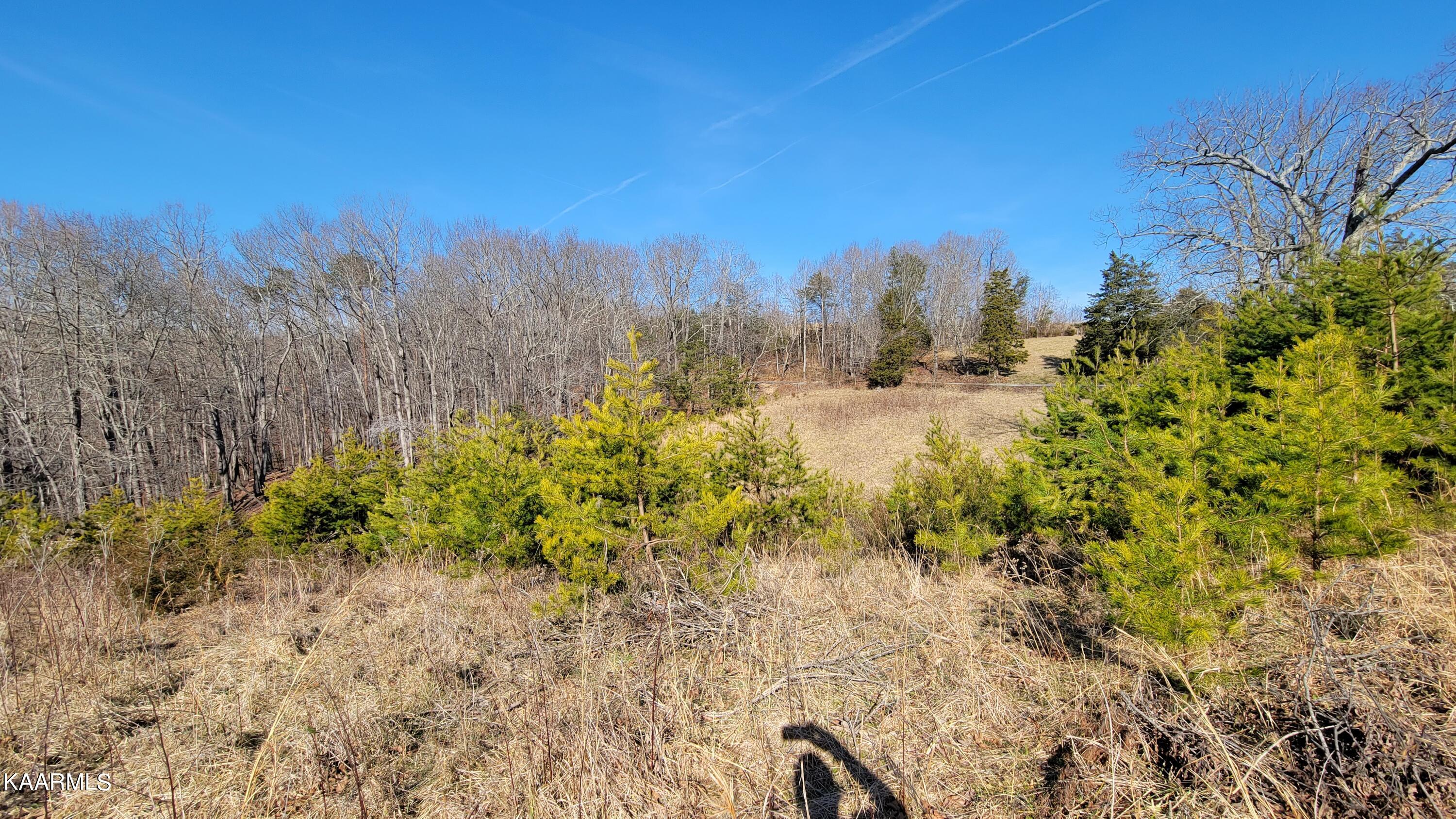 Chestnut Stump Road La Follette, TN 37766 - Photo 27 of 40 20
