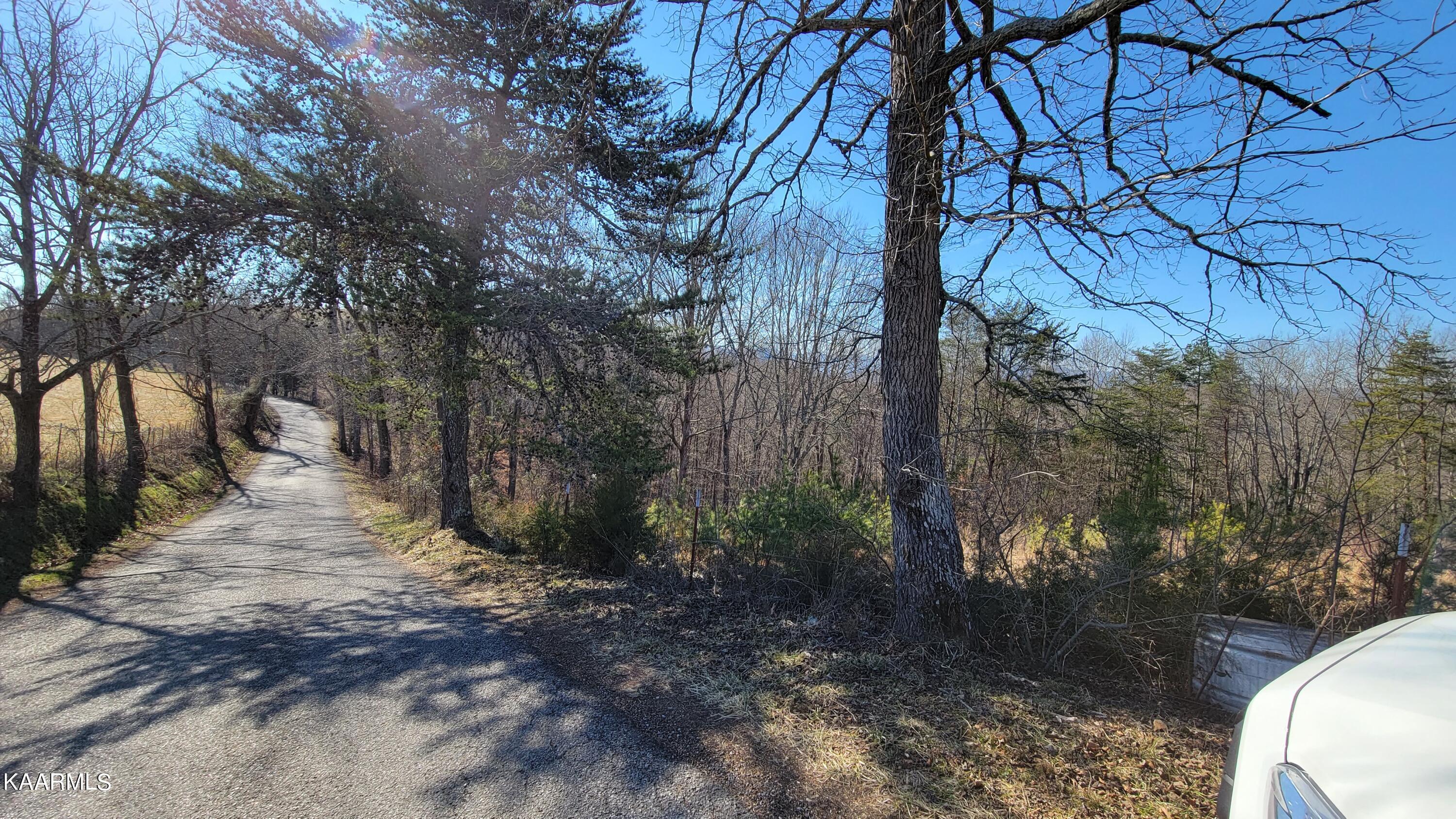 Chestnut Stump Road La Follette, TN 37766 - Photo 28 of 40 21