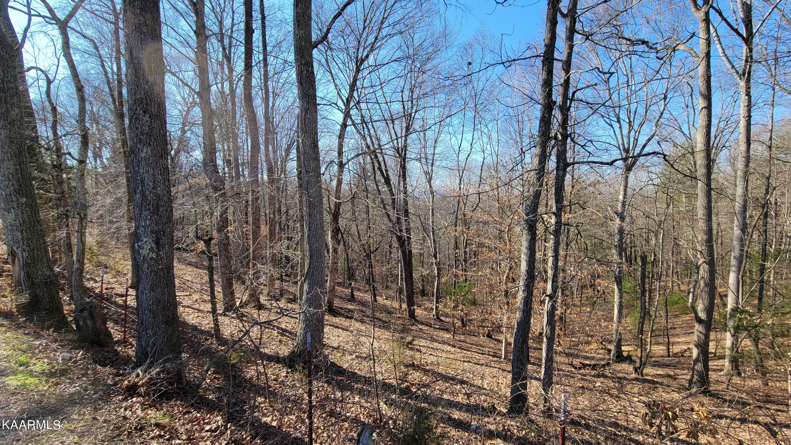 Chestnut Stump Road La Follette, TN 37766 - Photo 29 of 40 22