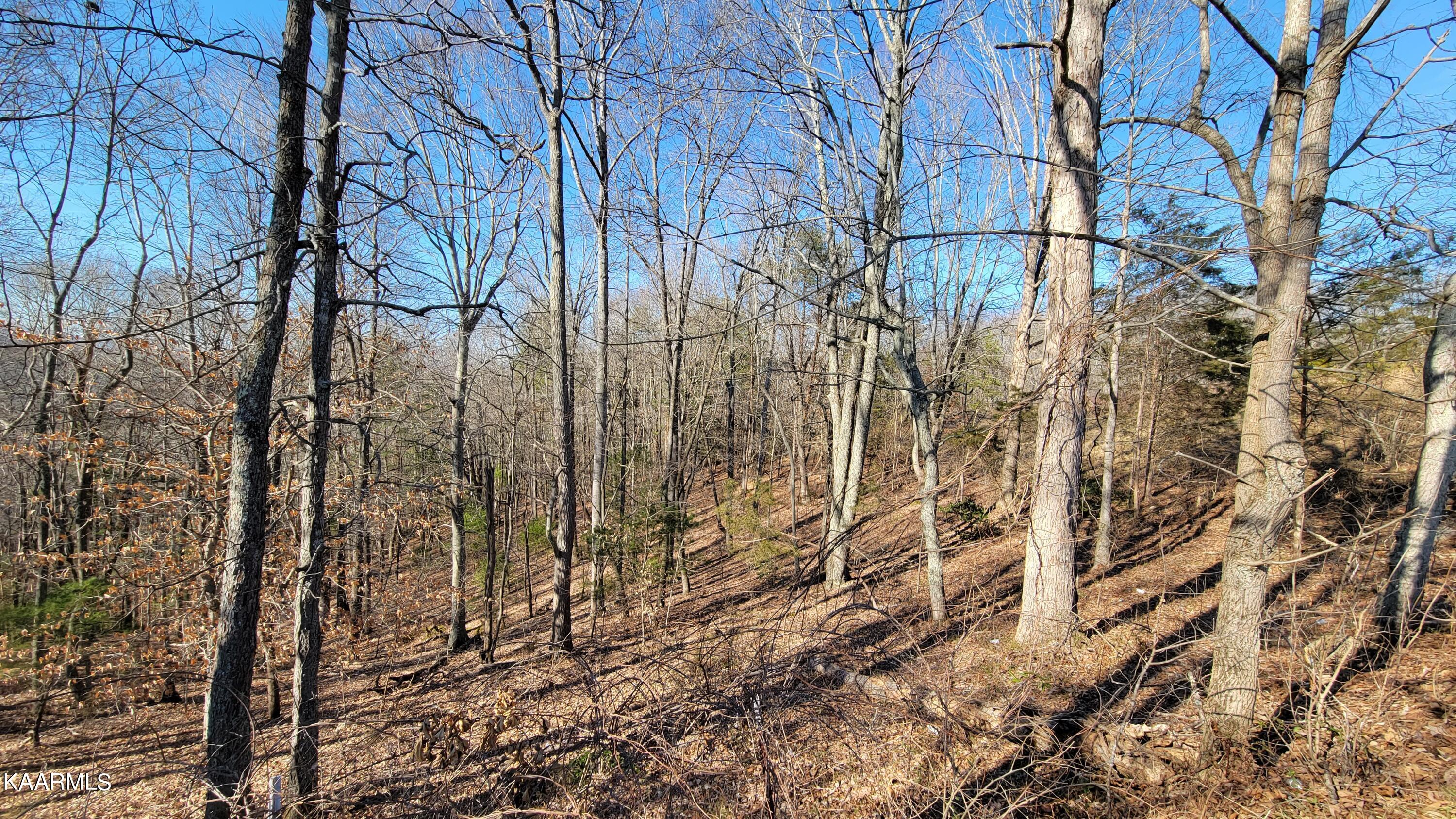 Chestnut Stump Road La Follette, TN 37766 - Photo 30 of 40 23