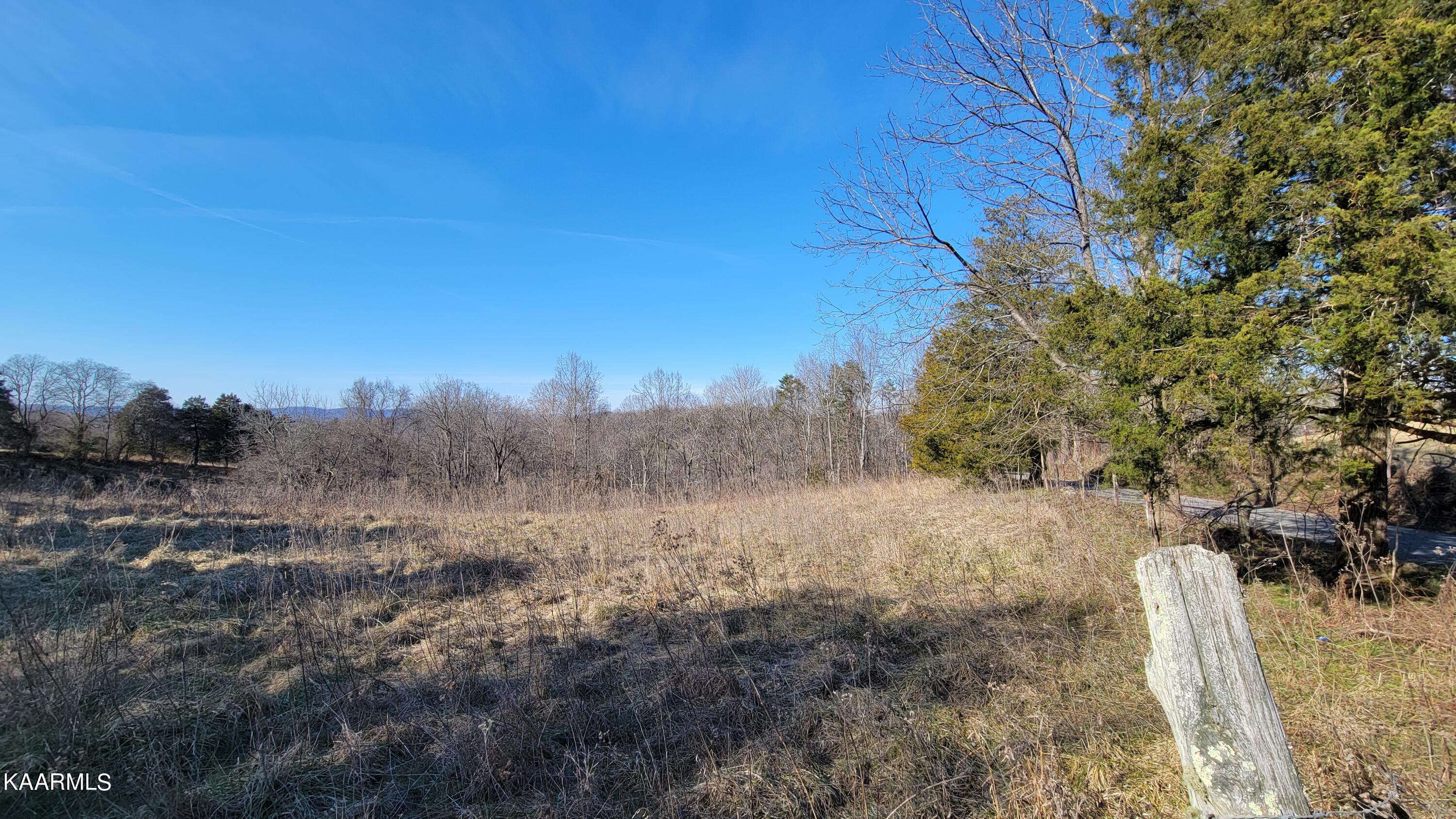 Chestnut Stump Road La Follette, TN 37766 - Photo 3 of 40 3