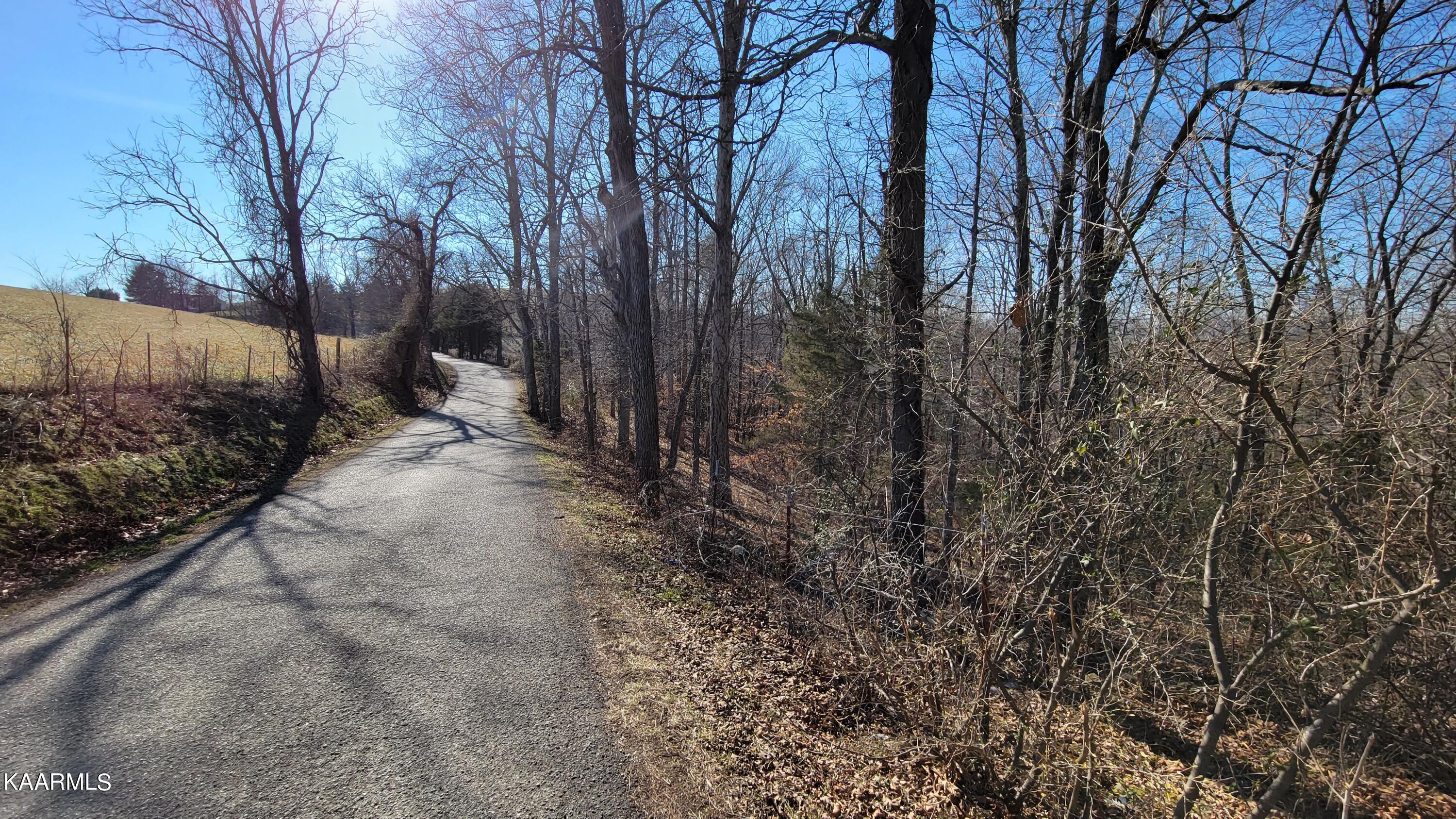 Chestnut Stump Road La Follette, TN 37766 - Photo 31 of 40 24