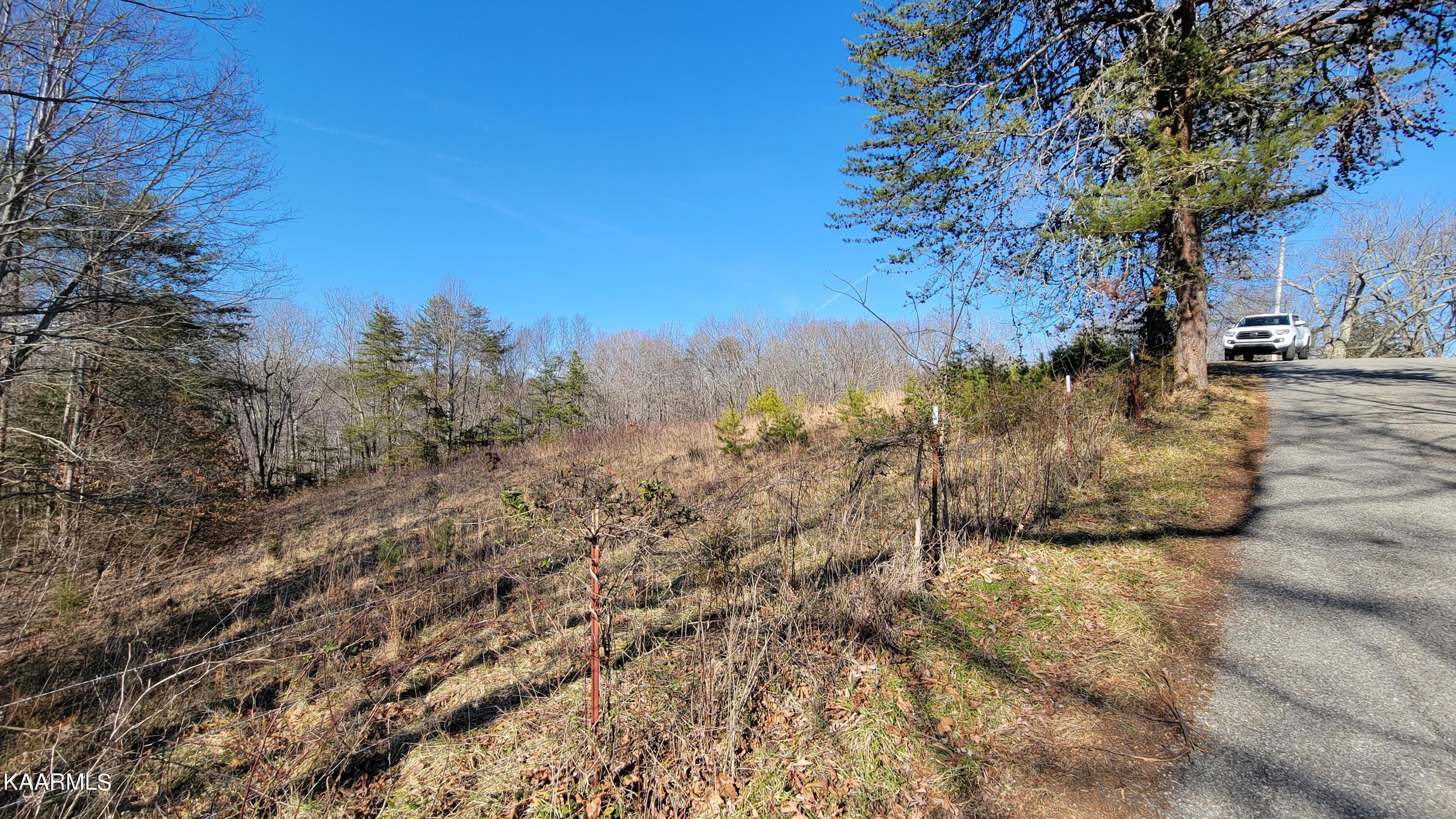Chestnut Stump Road La Follette, TN 37766 - Photo 32 of 40 25